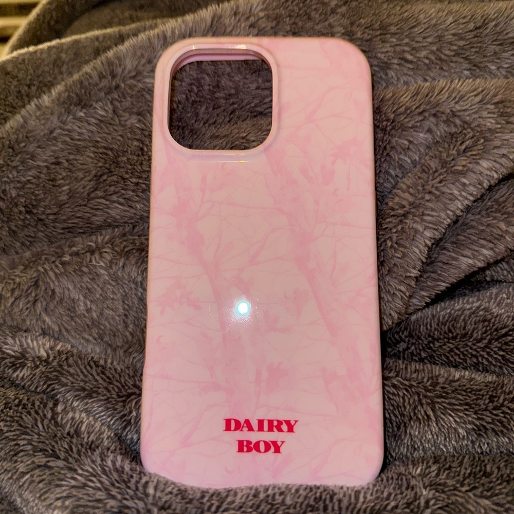 16 pro max dairy boy case